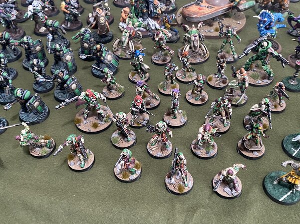 warden20230129_everything I planted in 2022 (6).jpg warden20230129_everything I planted in 2022 (6).jpg