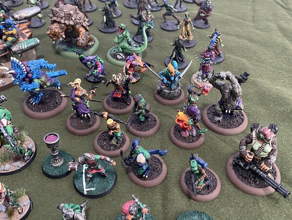 warden20230129_everything I planted in 2022 (8).jpg warden20230129_everything I planted in 2022 (8).jpg