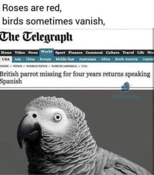 329266856_955490799194238_4303599163295107304_n.jpg 329266856_955490799194238_4303599163295107304_n.jpg