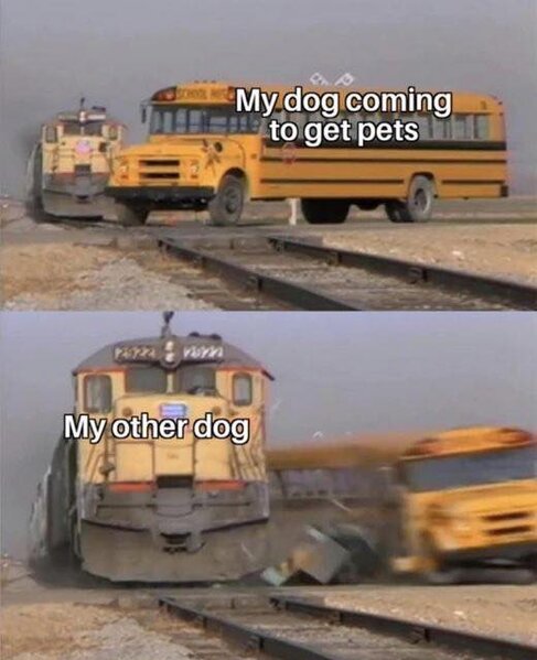 332953461_602854277913103_8958418195524530219_n.jpg 332953461_602854277913103_8958418195524530219_n.jpg