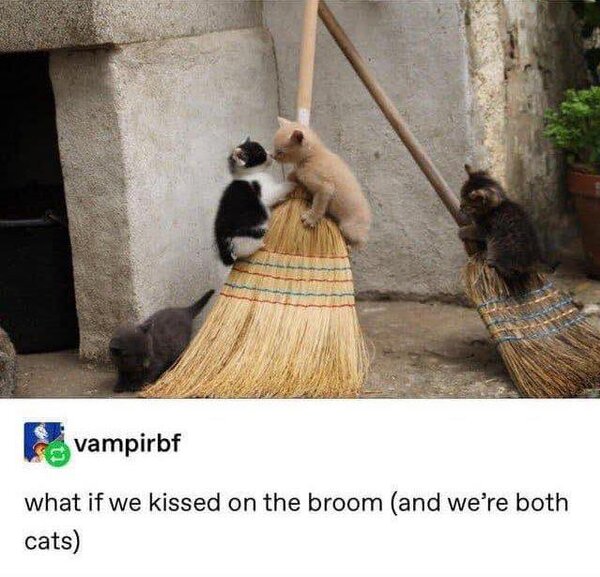 332348789_533186062131814_1193629029217200919_n.jpg 332348789_533186062131814_1193629029217200919_n.jpg