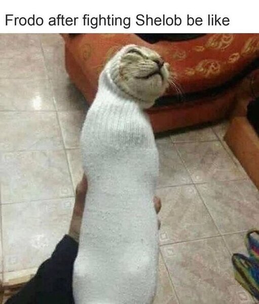 331491550_1525417861201141_7267166080494336008_n.jpg 331491550_1525417861201141_7267166080494336008_n.jpg