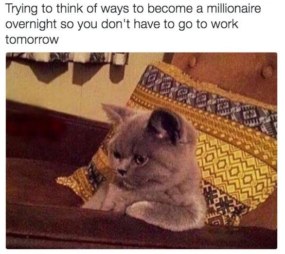 332481173_752401499794714_6514393958745367355_n.jpg 332481173_752401499794714_6514393958745367355_n.jpg