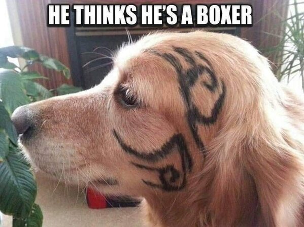 331748075_1333795870735748_1849192757033752754_n.jpg 331748075_1333795870735748_1849192757033752754_n.jpg