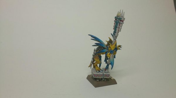 DSC_0646_zpsd5371248.jpg DSC_0646_zpsd5371248.jpg