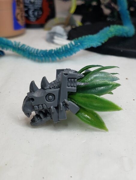 20230523_182306.jpg 20230523_182306.jpg