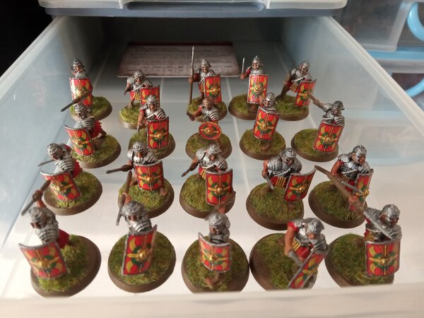 IMG_20230527_094613.jpg IMG_20230527_094613.jpg