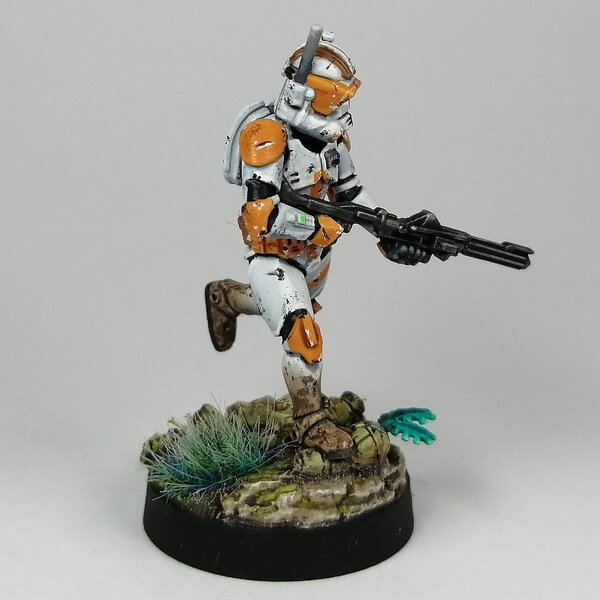 IMG_20230725_141159.jpg IMG_20230725_141159.jpg