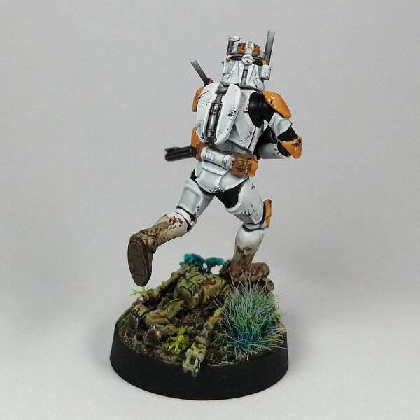 IMG_20230725_141239.jpg IMG_20230725_141239.jpg