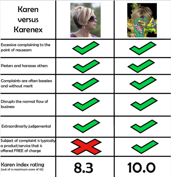 Karen-vs-Karenex.jpg