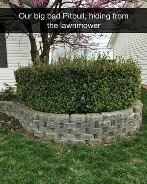 361628394_289899650221768_1999827143387607330_n.jpg 361628394_289899650221768_1999827143387607330_n.jpg