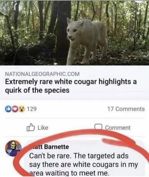 363359465_272347255418966_2171610121231927931_n.jpg 363359465_272347255418966_2171610121231927931_n.jpg