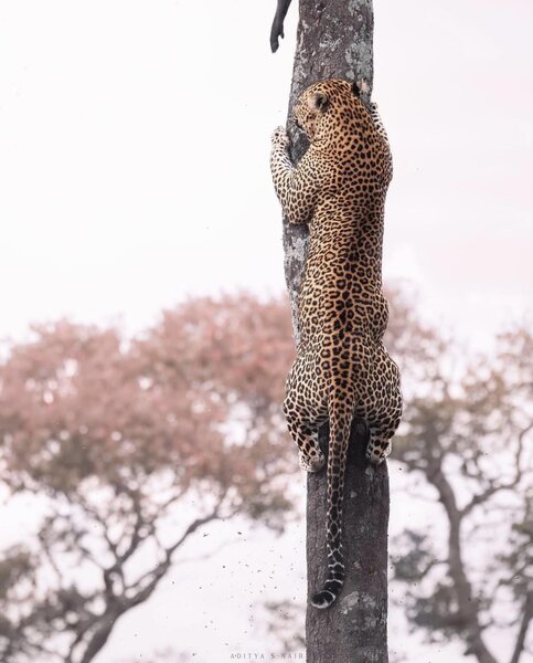 361201368_240569215522673_1459767575169581685_n.jpg 361201368_240569215522673_1459767575169581685_n.jpg