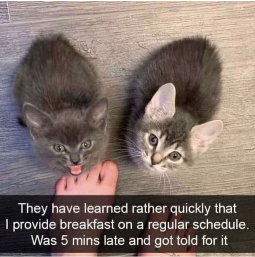 362271850_272347208752304_2974980784566157886_n.jpg 362271850_272347208752304_2974980784566157886_n.jpg