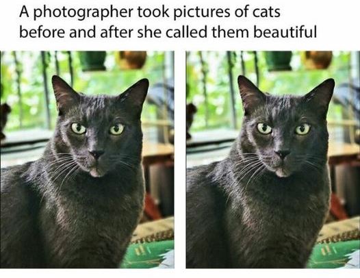 363027917_592783583030376_6526437961256251813_n.jpg 363027917_592783583030376_6526437961256251813_n.jpg