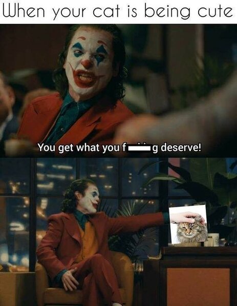 363800800_830450841801139_4427980262851342076_n.jpg 363800800_830450841801139_4427980262851342076_n.jpg