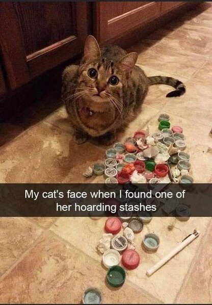 364224832_650293597135677_703745983535081322_n.jpg 364224832_650293597135677_703745983535081322_n.jpg