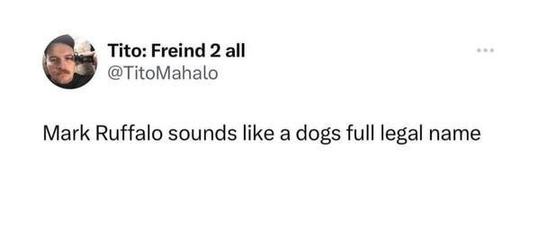 364208227_651181710380199_4777606077130061585_n.jpg 364208227_651181710380199_4777606077130061585_n.jpg