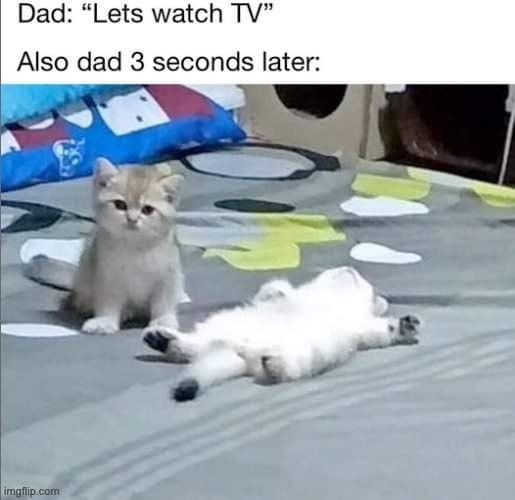 364182286_650804060417964_4363007712540800082_n.jpg 364182286_650804060417964_4363007712540800082_n.jpg