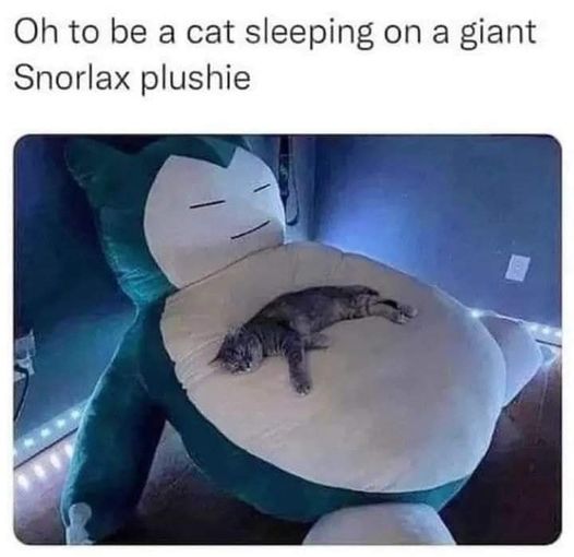 364220765_651876693644034_2046352461140790423_n.jpg 364220765_651876693644034_2046352461140790423_n.jpg