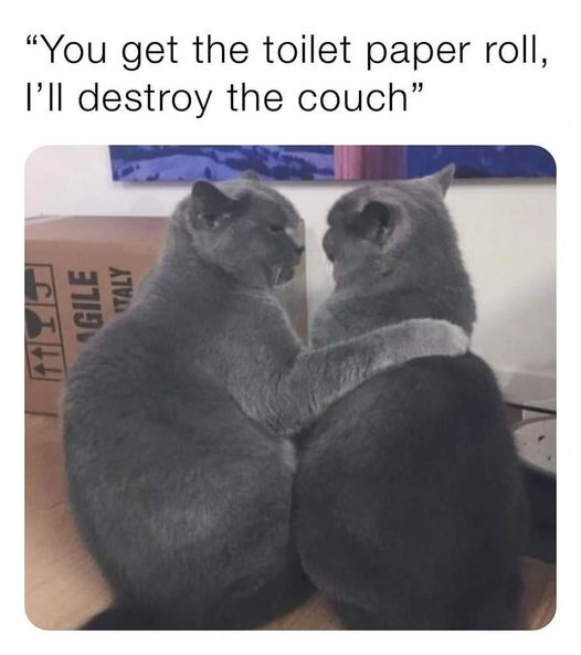 364752910_651743456990691_3803992645368072635_n.jpg 364752910_651743456990691_3803992645368072635_n.jpg