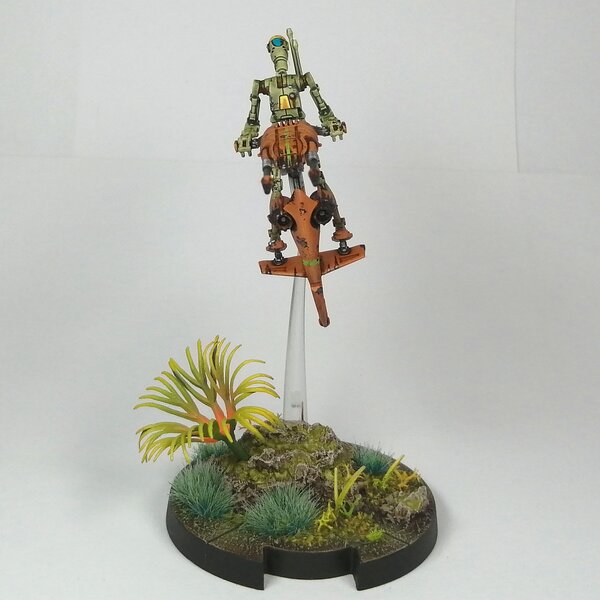 IMG_20230815_140030.jpg IMG_20230815_140030.jpg