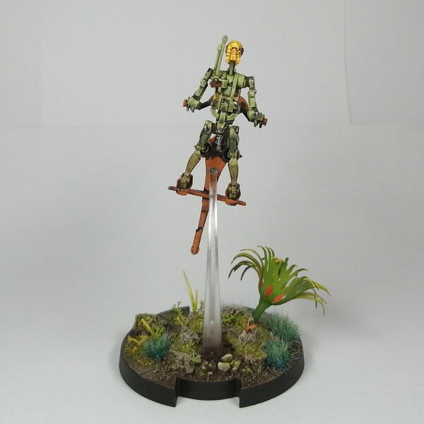 IMG_20230815_140217.jpg IMG_20230815_140217.jpg