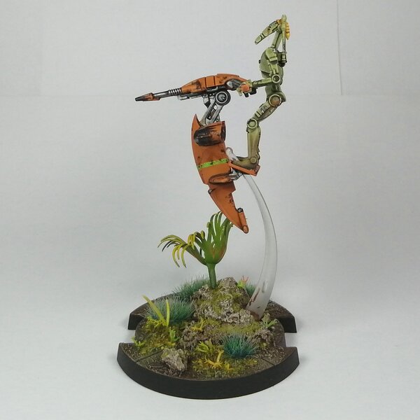 IMG_20230815_140337.jpg IMG_20230815_140337.jpg