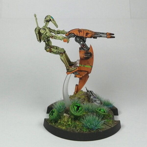 IMG_20230815_140510.jpg IMG_20230815_140510.jpg