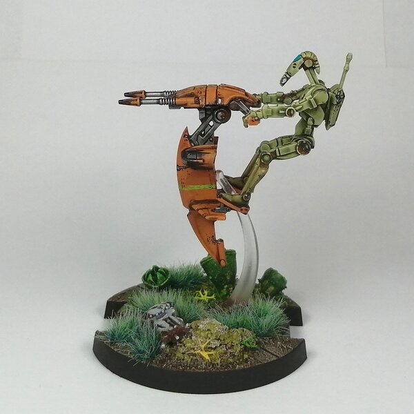 IMG_20230815_140754.jpg IMG_20230815_140754.jpg