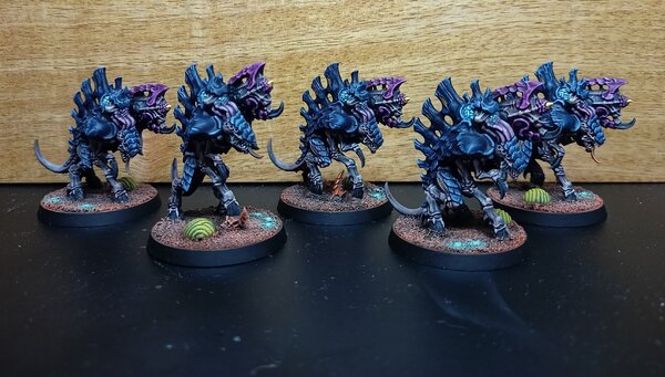 IMG_20230827_130650.jpg IMG_20230827_130650.jpg