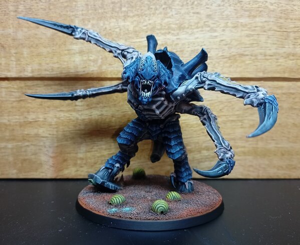 IMG_20230827_130629.jpg IMG_20230827_130629.jpg