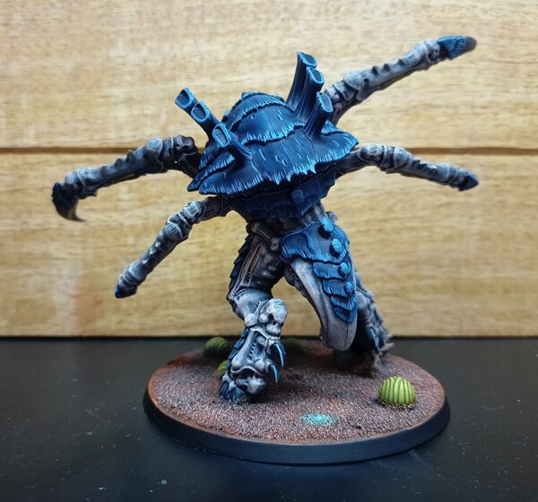 IMG_20230827_130603.jpg IMG_20230827_130603.jpg