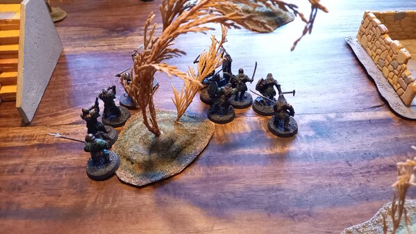 20230826_204148.jpg 20230826_204148.jpg