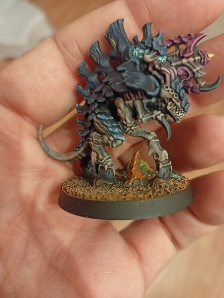 IMG20230828044512.jpg IMG20230828044512.jpg