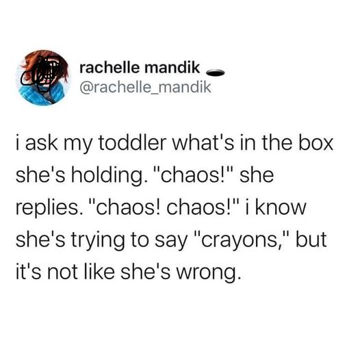 376274532_263380896603855_794129070871170752_n.jpg 376274532_263380896603855_794129070871170752_n.jpg