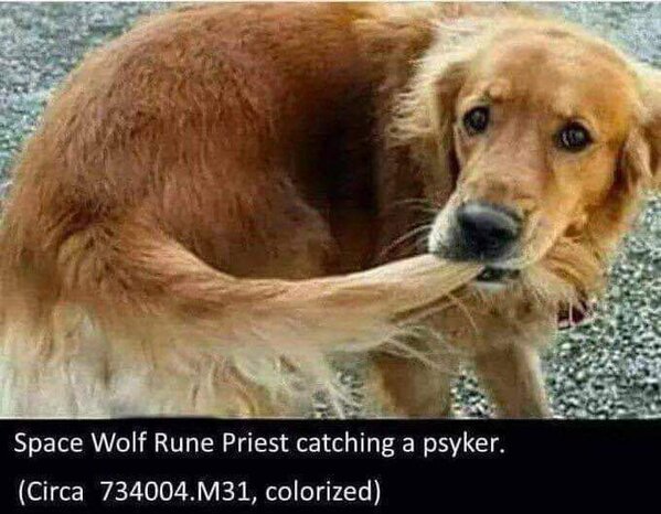 382802424_10168062866790644_5837483555903884682_n.jpg 382802424_10168062866790644_5837483555903884682_n.jpg