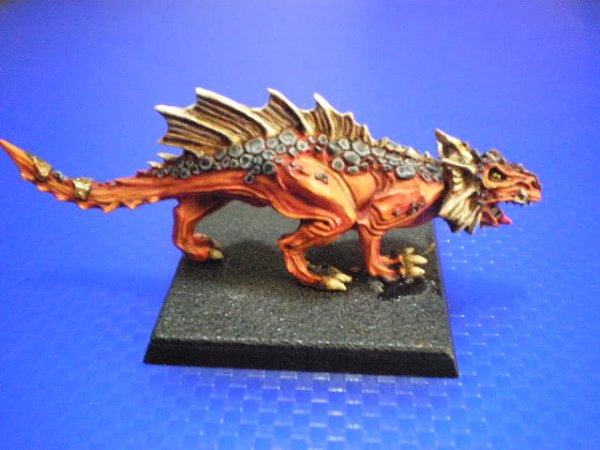 P5070063.jpg P5070063.jpg