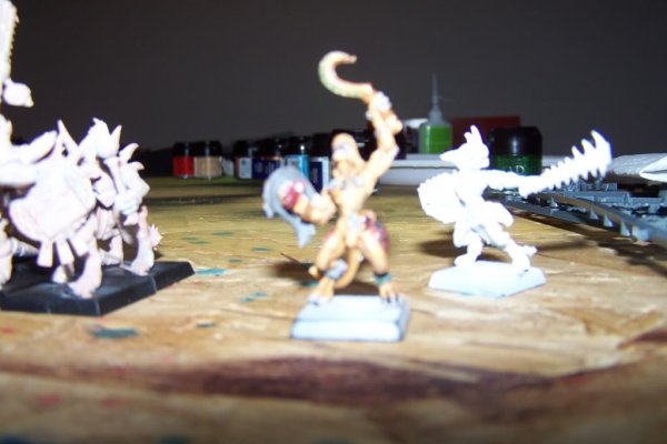 100_5968.jpg 100_5968.jpg