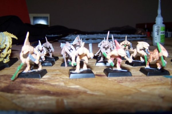 100_5974.jpg 100_5974.jpg