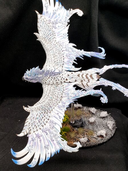 20231103_195051.jpg 20231103_195051.jpg