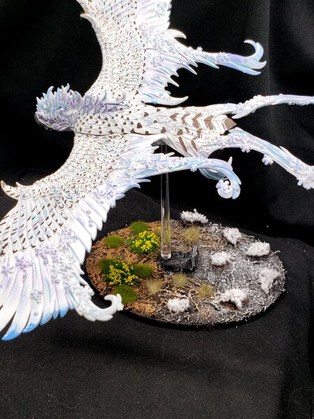 20231103_195948.jpg 20231103_195948.jpg