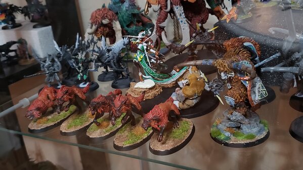 20231105_173936.jpg 20231105_173936.jpg