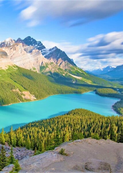 400022176_741172574721260_429272249196358614_n.jpg 400022176_741172574721260_429272249196358614_n.jpg