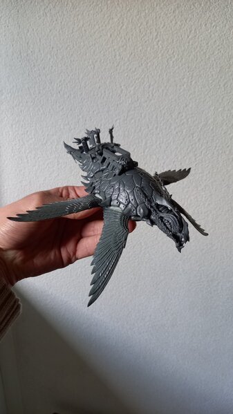 20231117_124909.jpg 20231117_124909.jpg