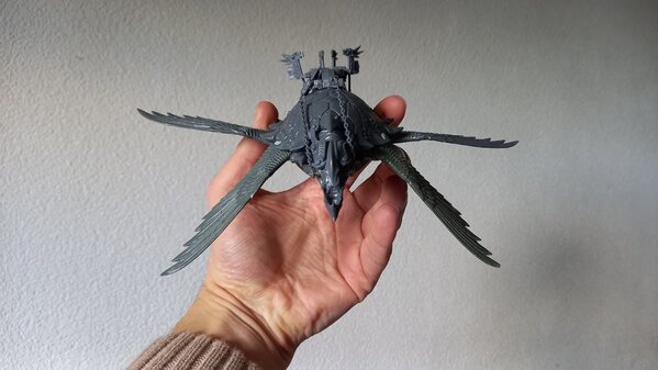 20231117_124939.jpg 20231117_124939.jpg