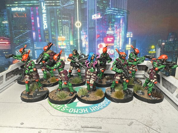 warden20231121_druze shock teams 9.jpg