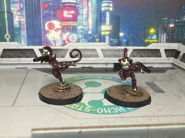 warden20231231_monkeybots 3.jpg