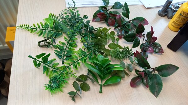 20240130_140405.jpg 20240130_140405.jpg