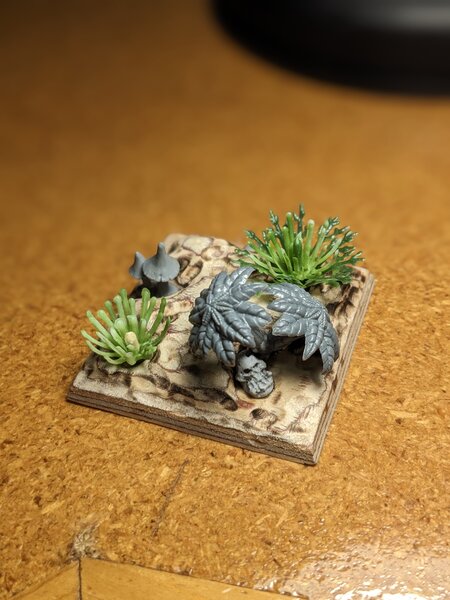 PXL_20240210_190555426.PORTRAIT.jpg PXL_20240210_190555426.PORTRAIT.jpg